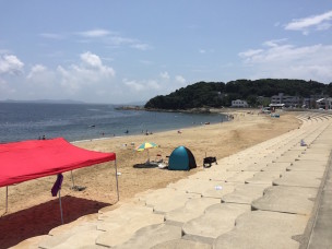 今日の篠島